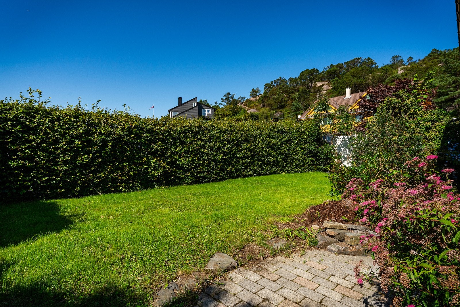 - Koselig hage - Galleribilde