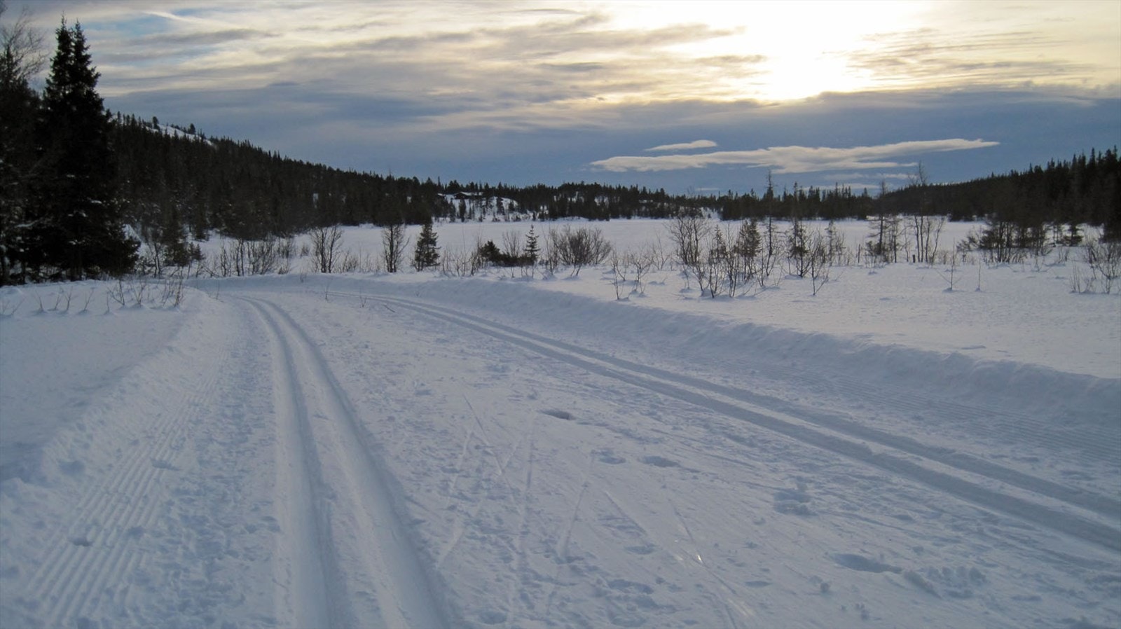 Oppkjørte skiløyper innover snøkledde områder. Galleribilde