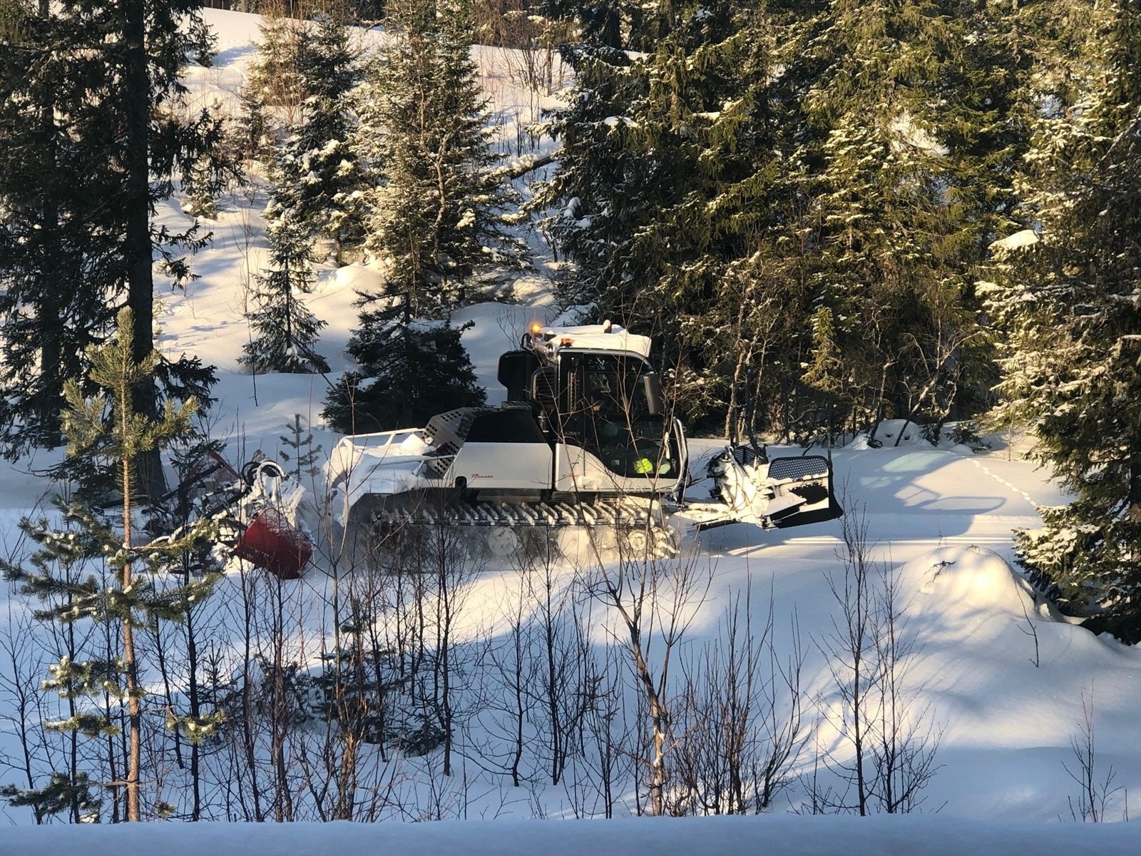 Oppkjørte skiløyper rett ved hytta. Galleribilde