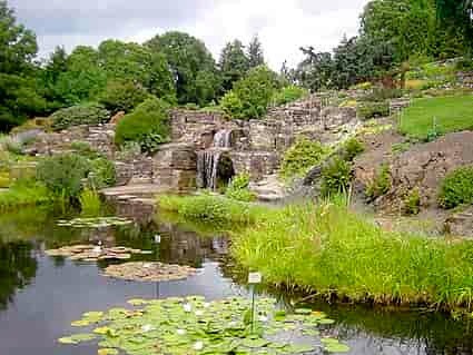 Fjellhagen i Botanisk Hage Galleribilde