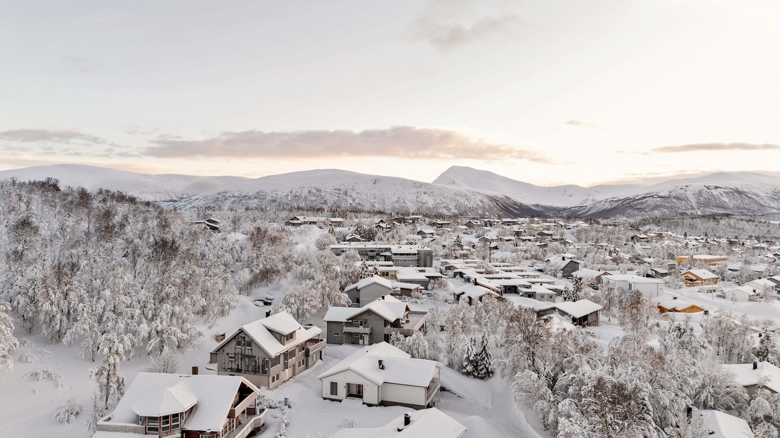 Eneboligen grenser til Tromsømarka Galleribilde