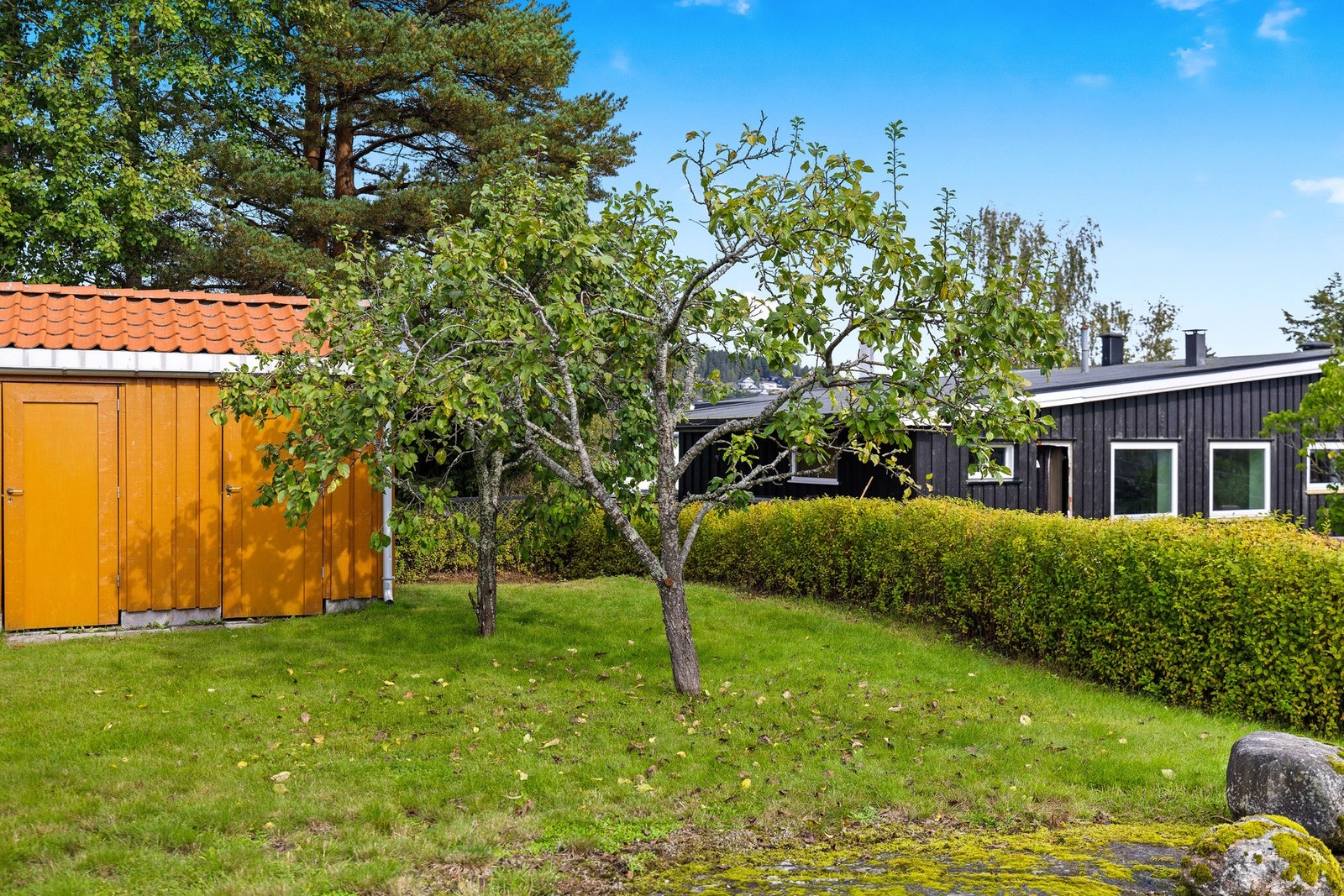 Hagen er pent beplantet, med prydbusker og plommetrær. Galleribilde