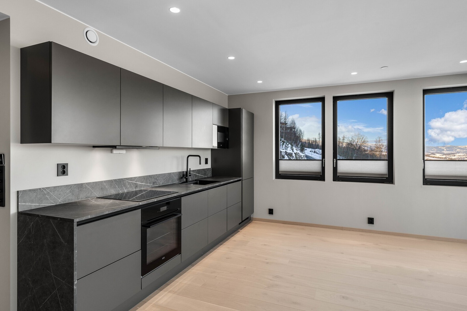 Videre kan kjøkkenet skilte med integrert mikrobølgeovn, stekeovn, oppvaskmaskin, kjøl/frys og ventilator. Galleribilde