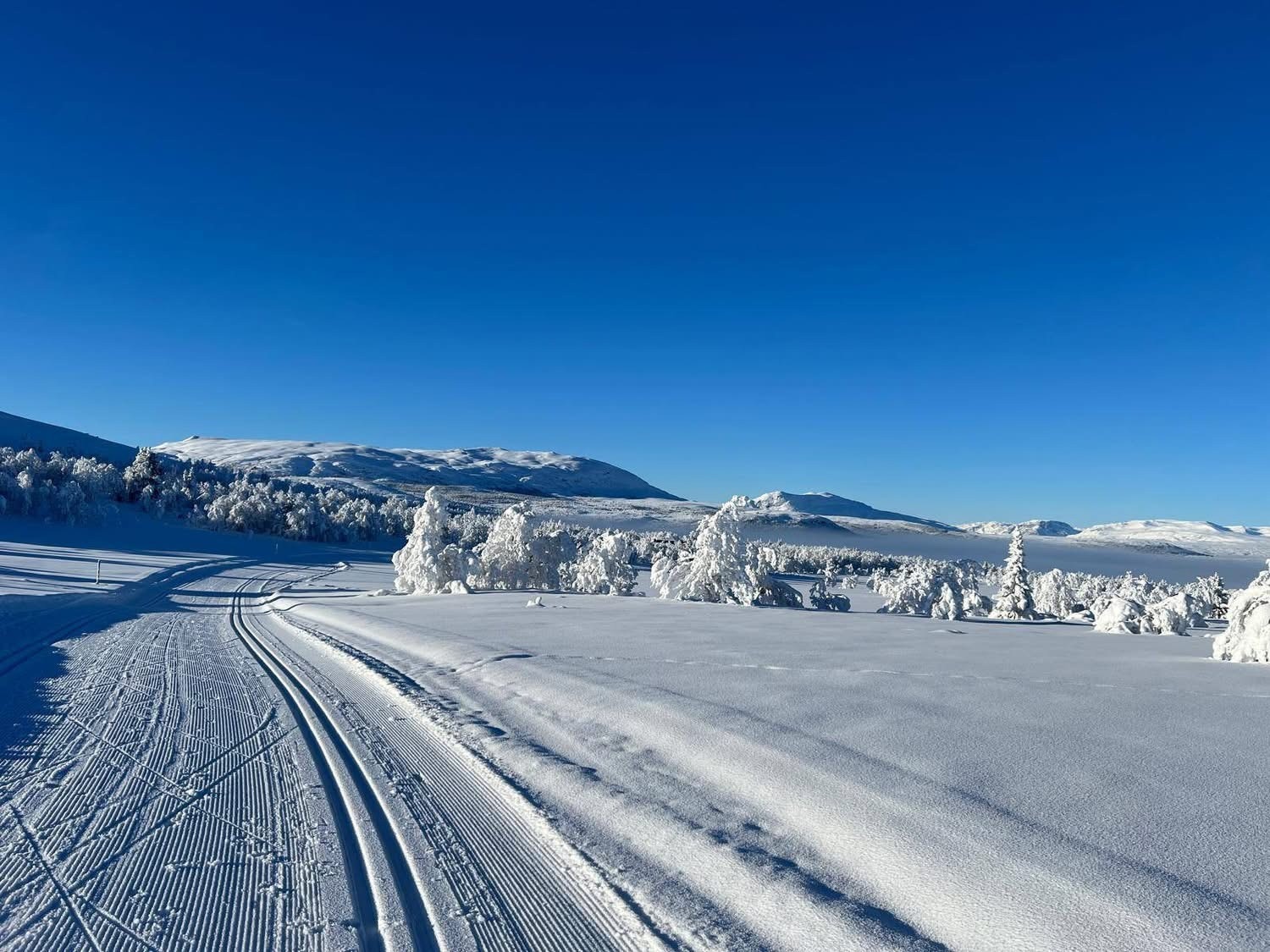 Fra nærområdet Galleribilde