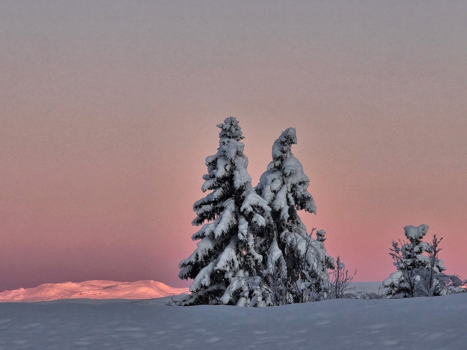 Fra nærområdet Galleribilde