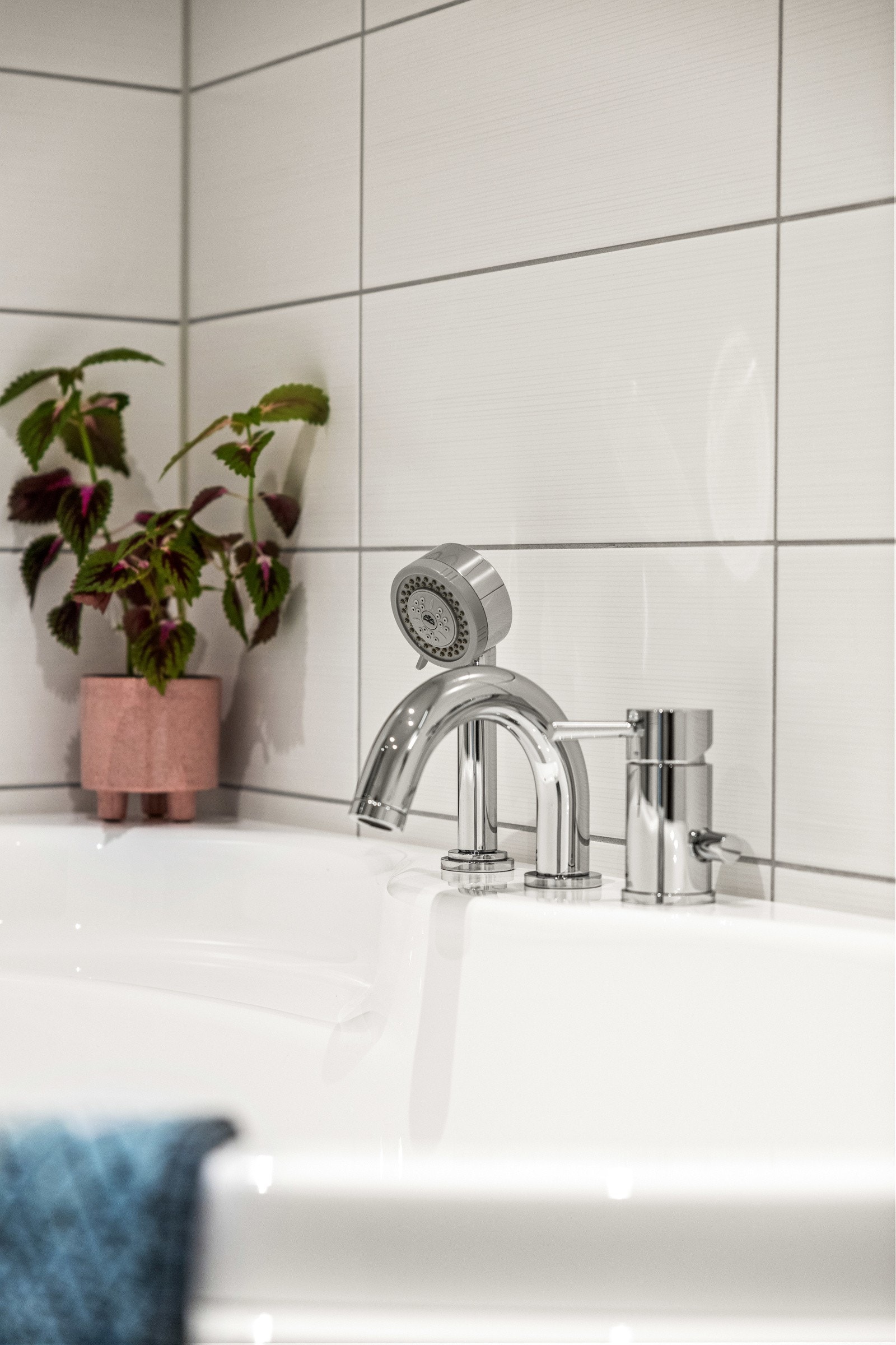 _36A7896 Galleribilde