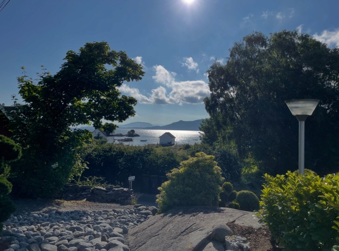 Selgers bilde Galleribilde