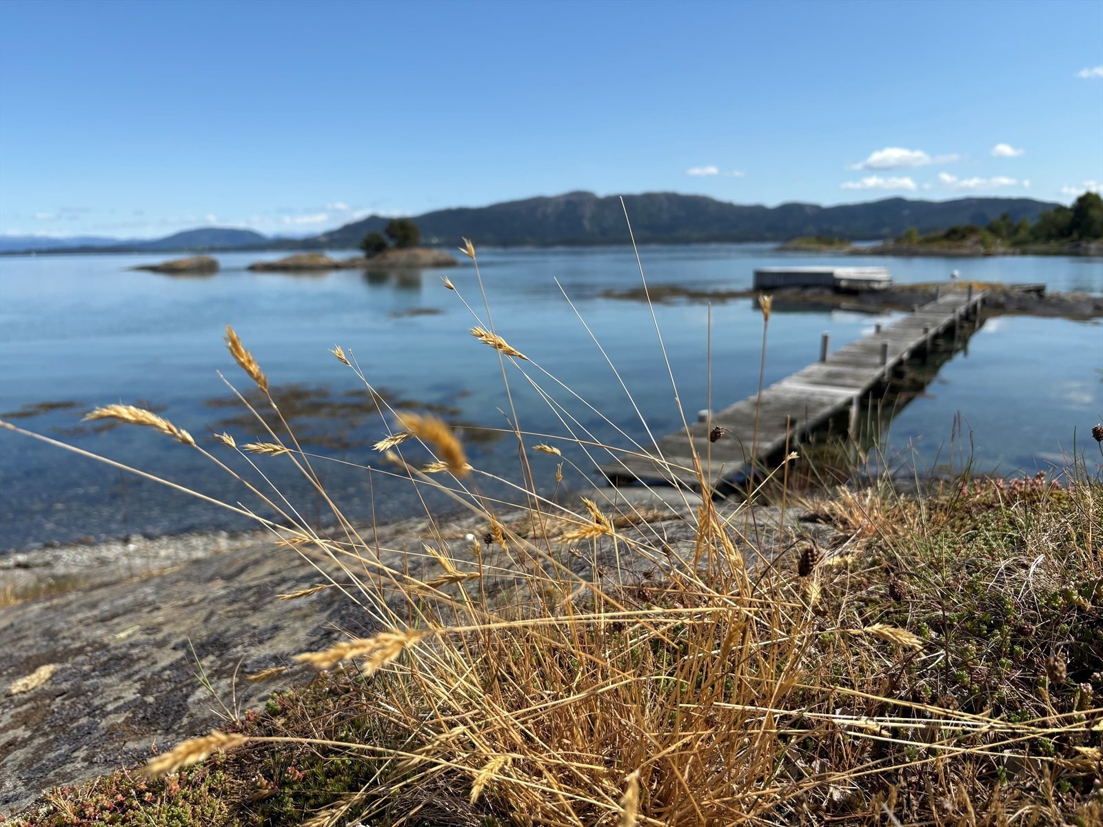 Selgers bilde av stranden i nærområde Galleribilde
