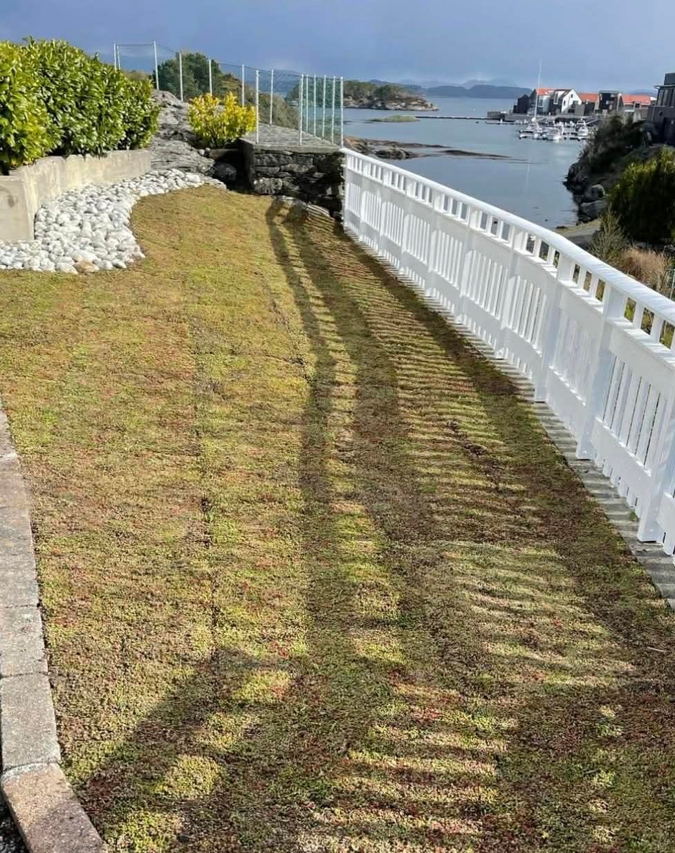 Selgers bilde Galleribilde