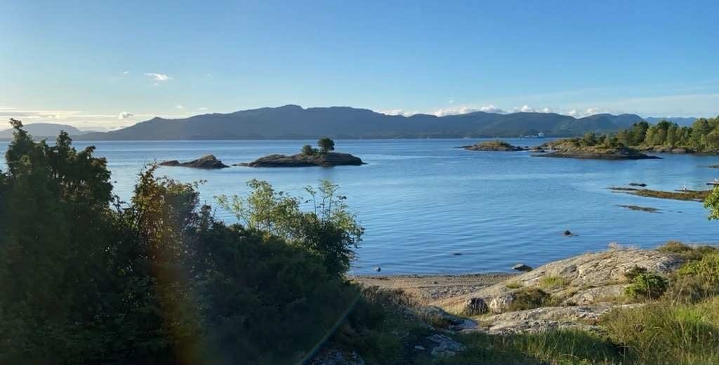 Selgers bilde Galleribilde