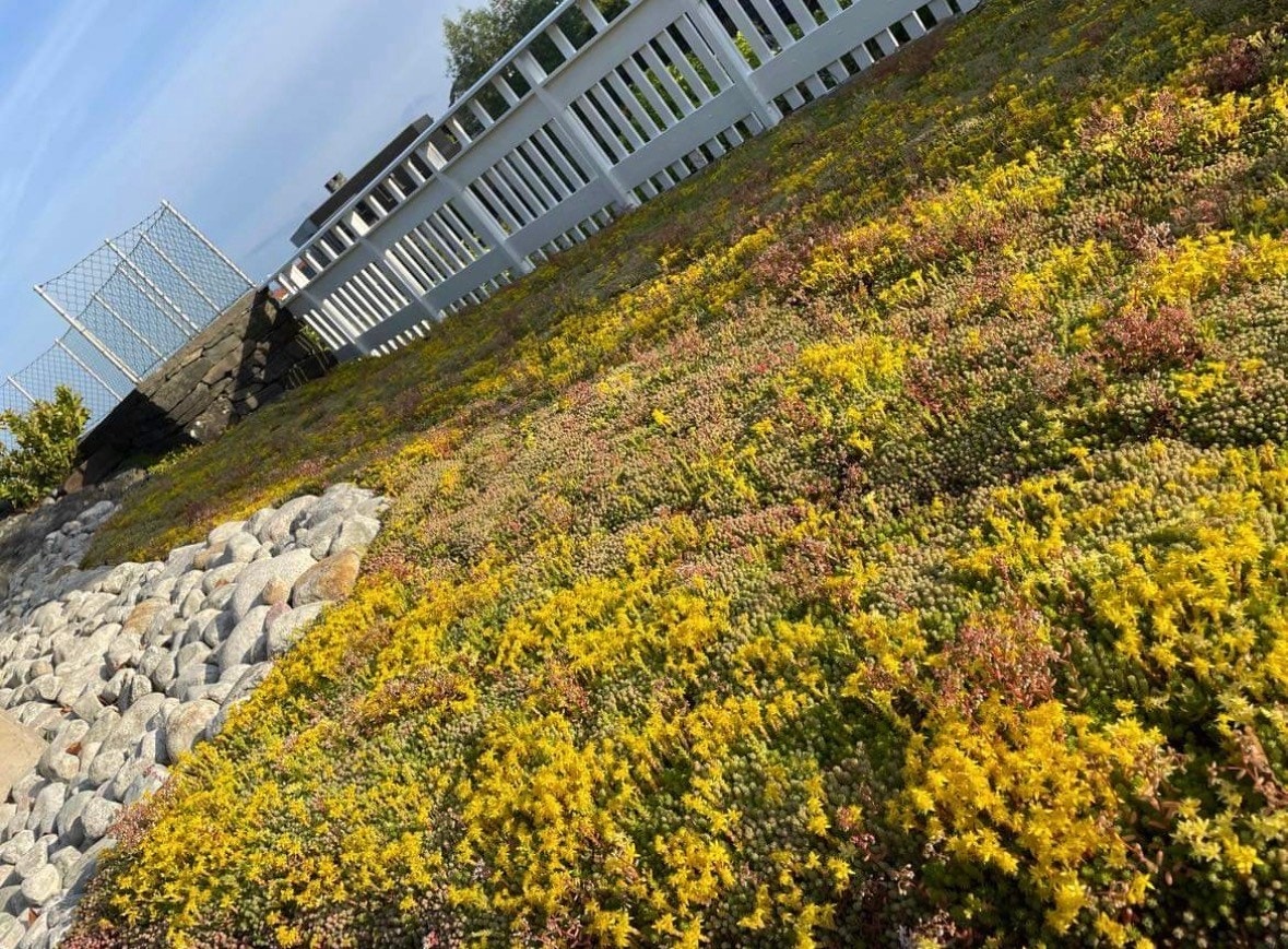 Selgers bilde Galleribilde