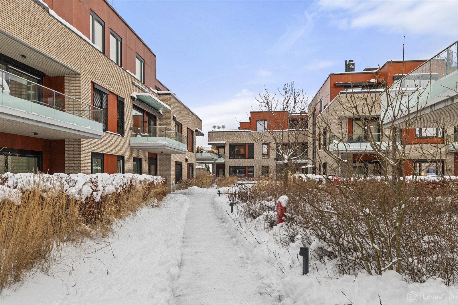 Sameiet har et parkmessig opparbeidet hageanlegg med spennende vegetasjon og belysning. Galleribilde