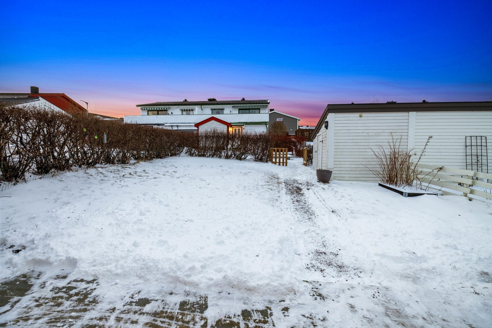 Usjenert hage innrammet med hekk og gjerde i underetasjen. Galleribilde