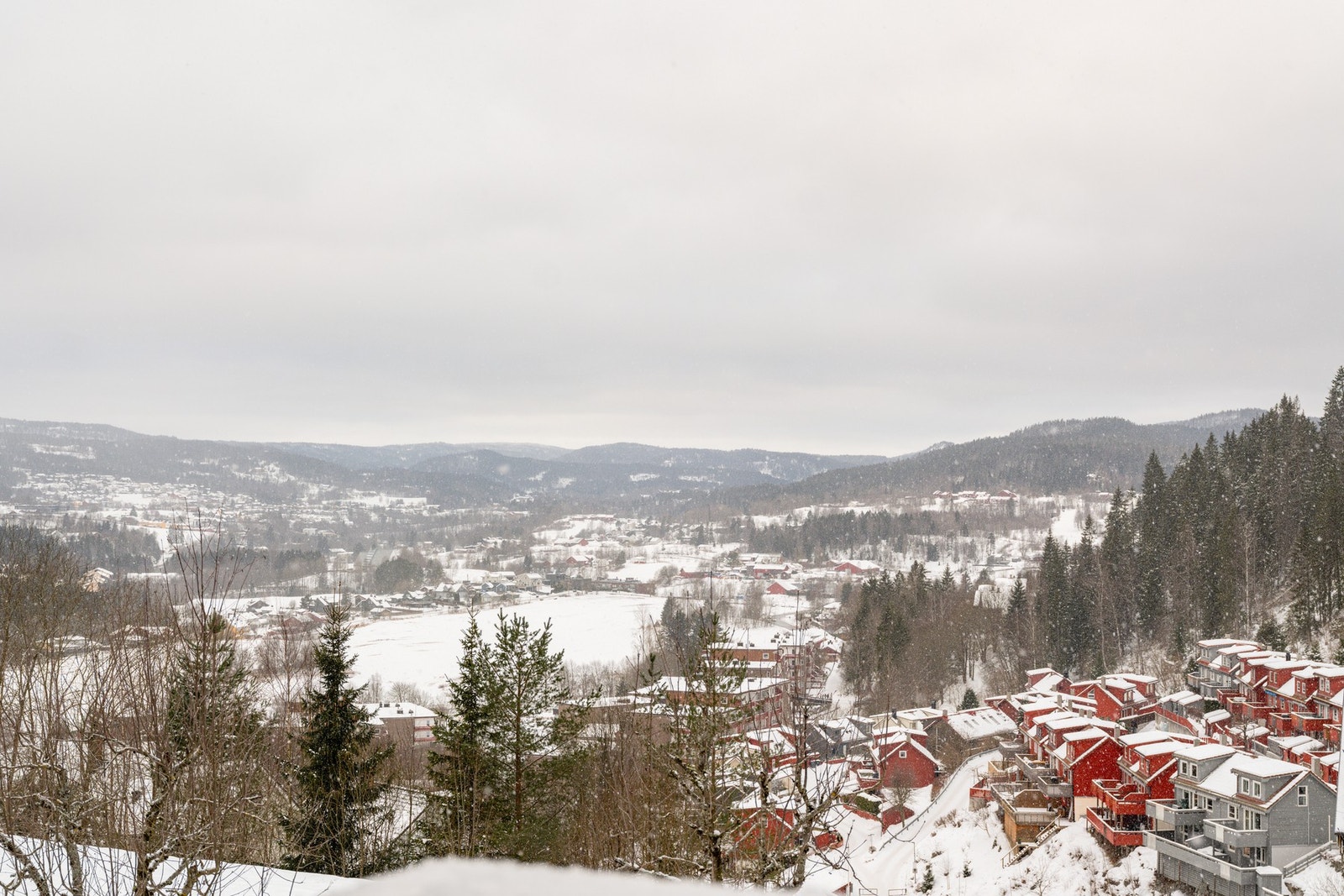 Flott utsikt! Galleribilde