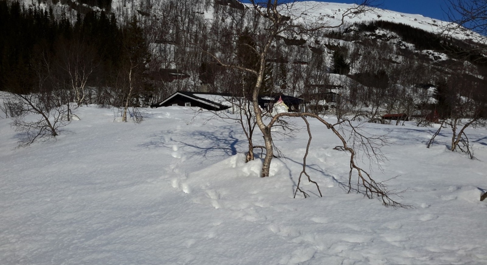 Utsikt fra tomten Galleribilde