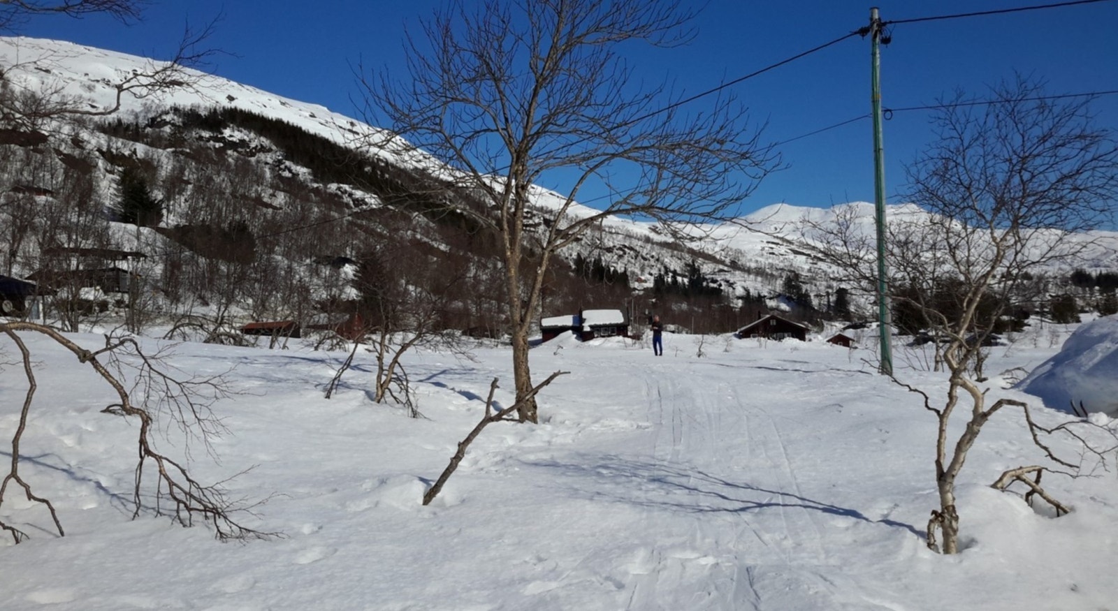 Utsikt fra tomten Galleribilde