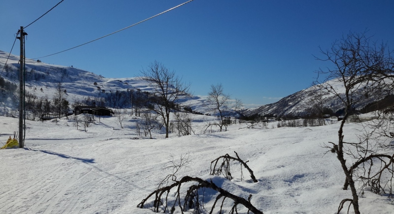 Flotte skiløyper like utenfor. Galleribilde