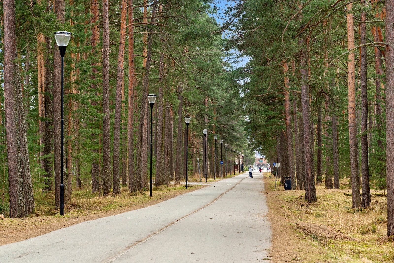 Sandskogan - et mye brukt friområde midt i Stjørdal sentrum. Galleribilde
