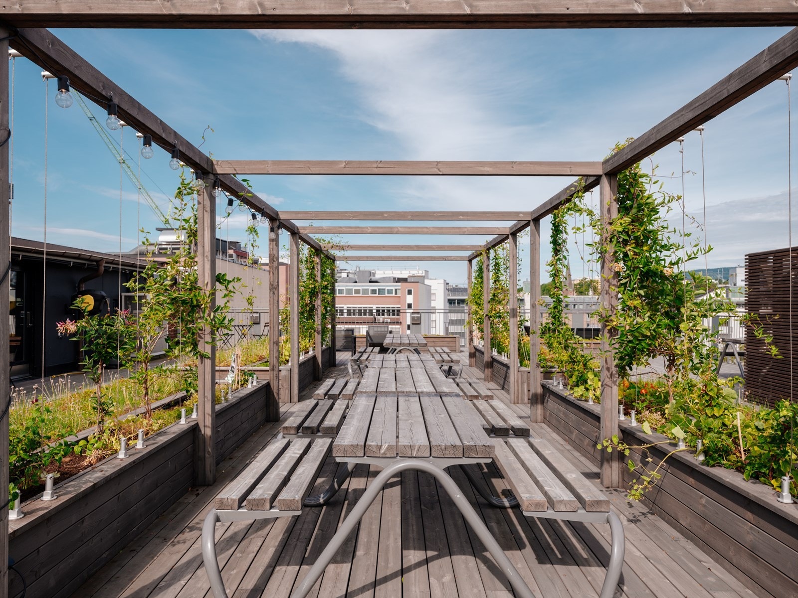 Felles takterrasse. Galleribilde