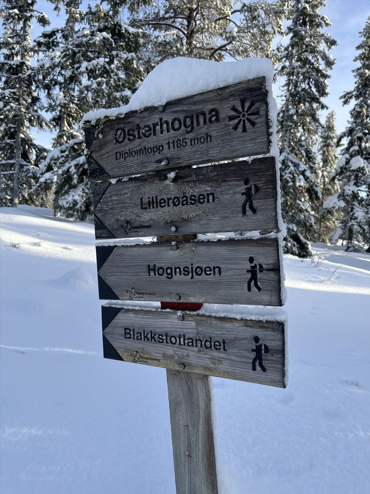 Hytta er meget fint utgangspounkt for deg som er glad i turer året rundt! Flere flotte turmål, stier og løyper er noe av det som området har å by på. Galleribilde