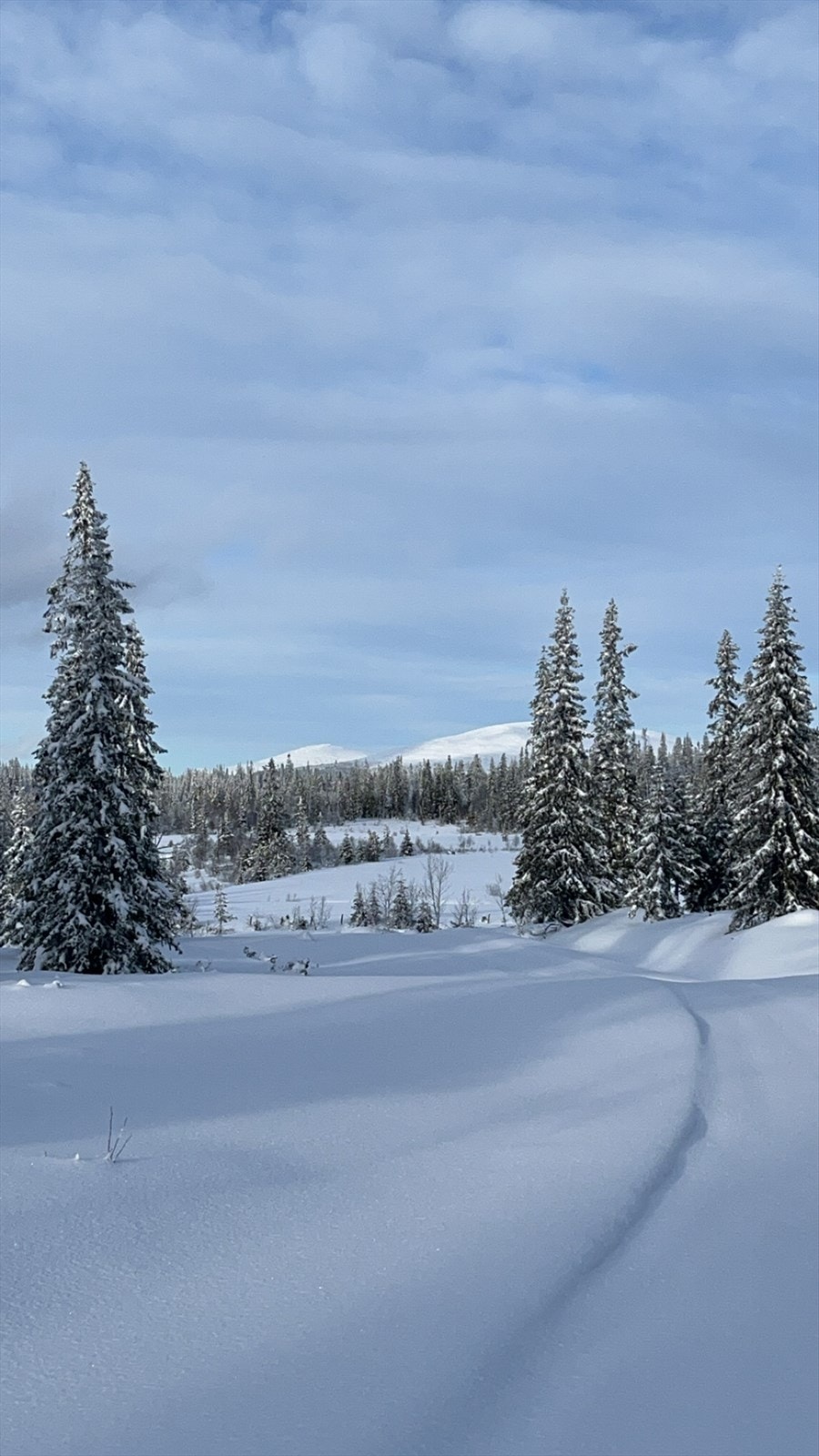 Noen topper i retning nord, sett fra skiløypene rett nord-øst for selve Lisætra. Galleribilde