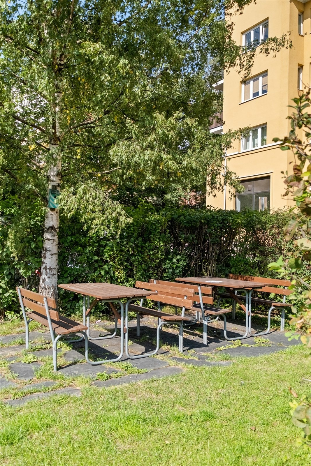 Hyggelige fellesområder med hage og sittegrupper. Galleribilde