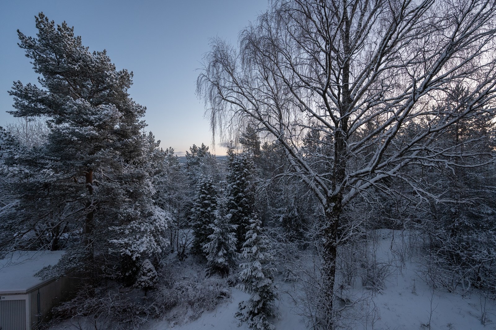 Med kun 30 meter til skogen er det umiddelbar tilgang til flotte turmuligheter. Galleribilde
