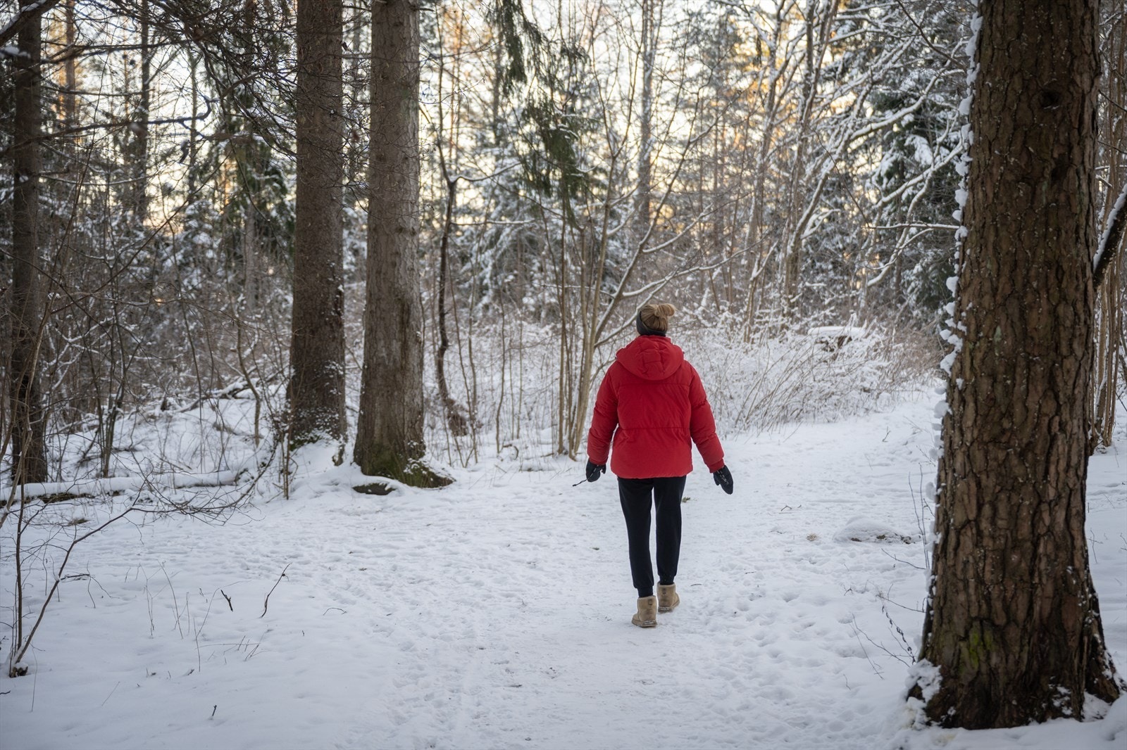Flotte turmuligheter rett utenfor døren. Galleribilde