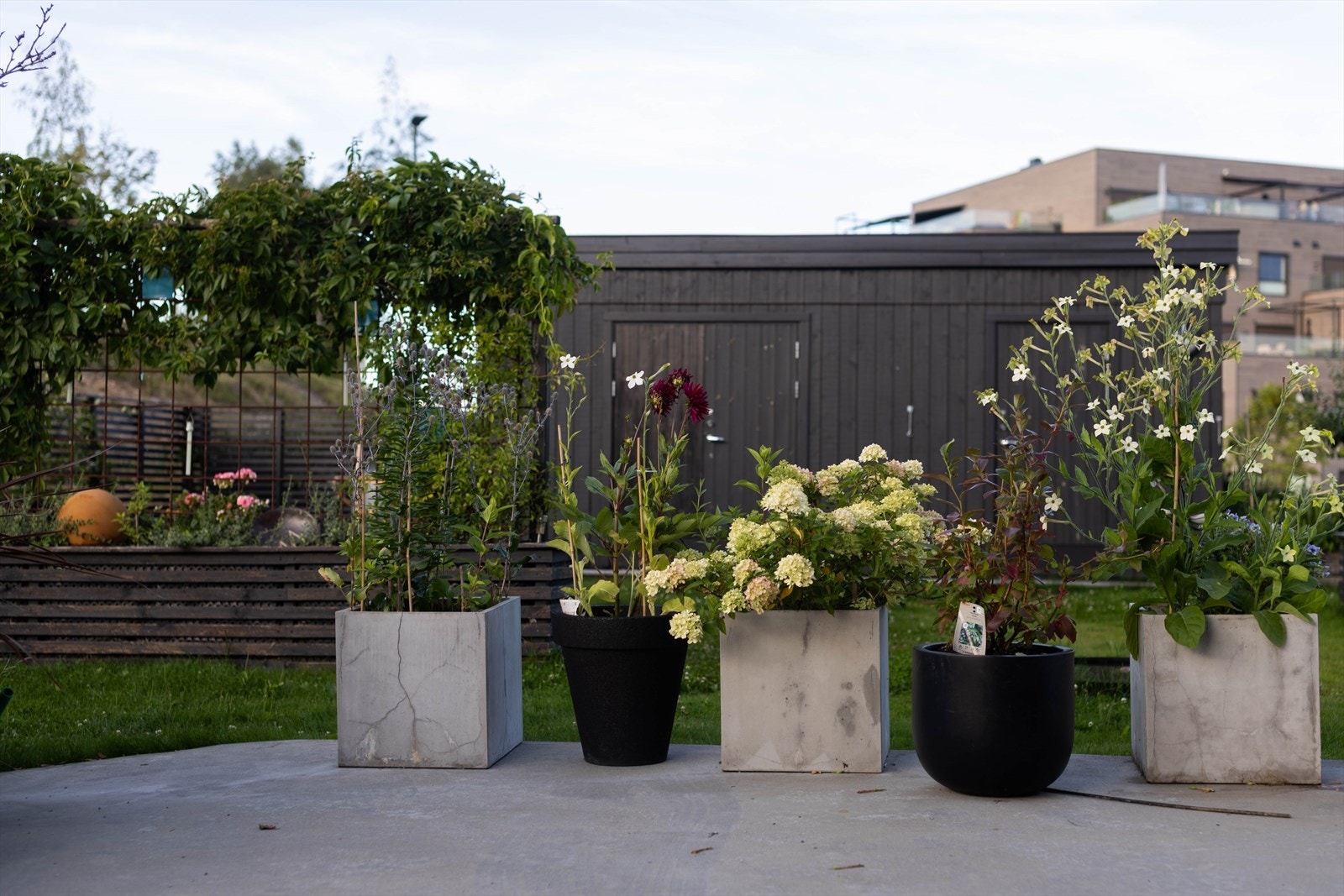 Selgers egne bilder. Galleribilde