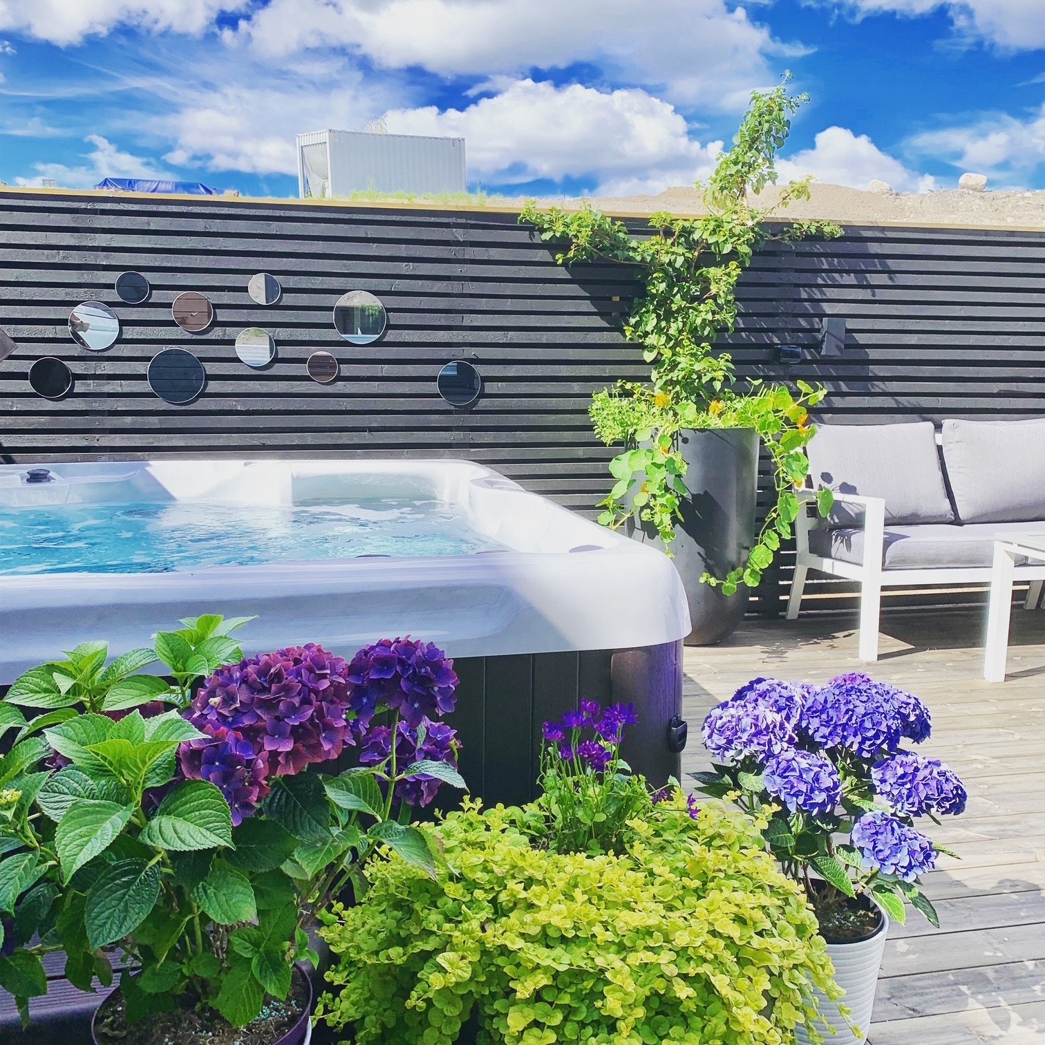 sør 1.jpg Galleribilde