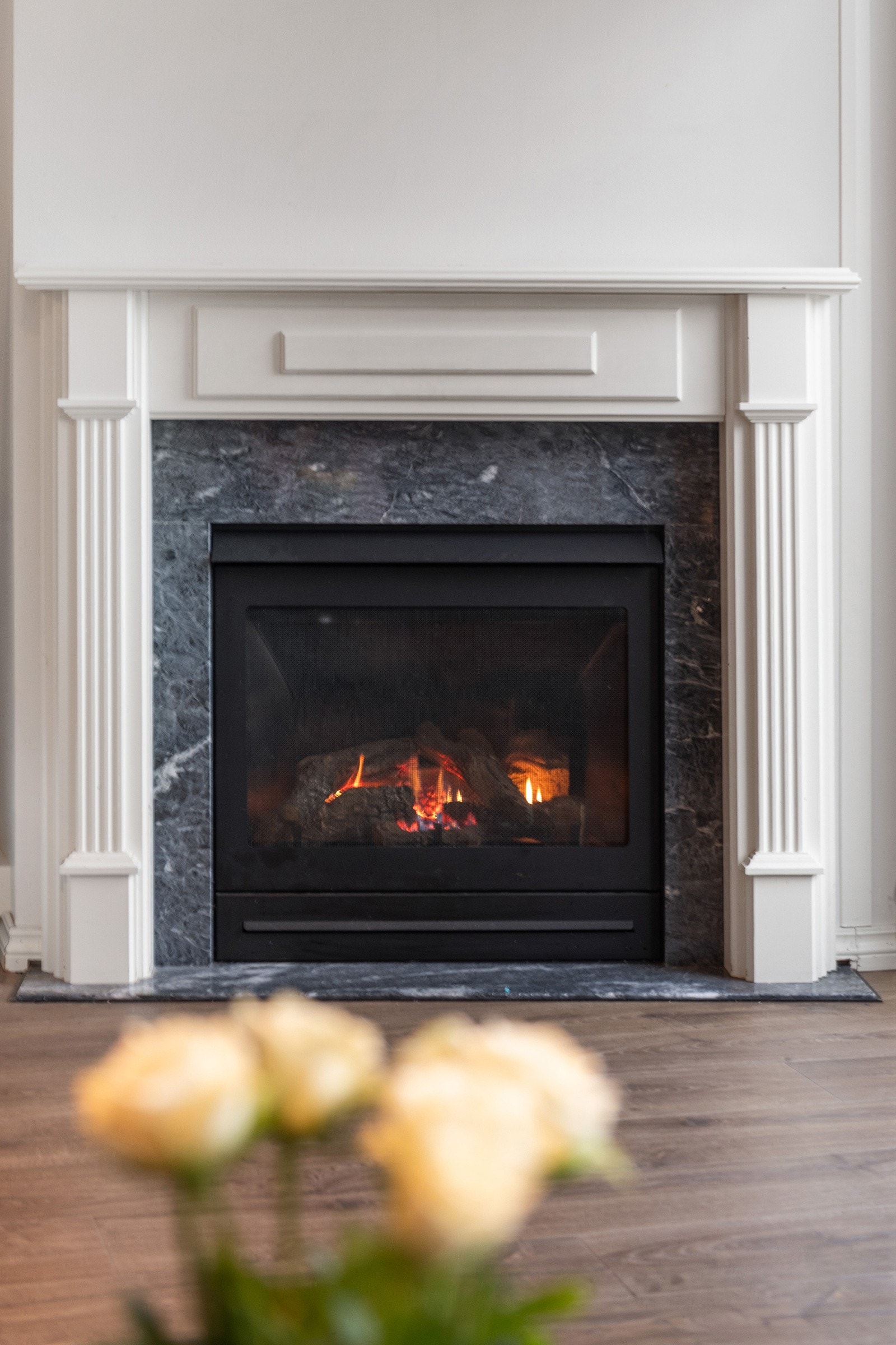 Gasspeis Galleribilde