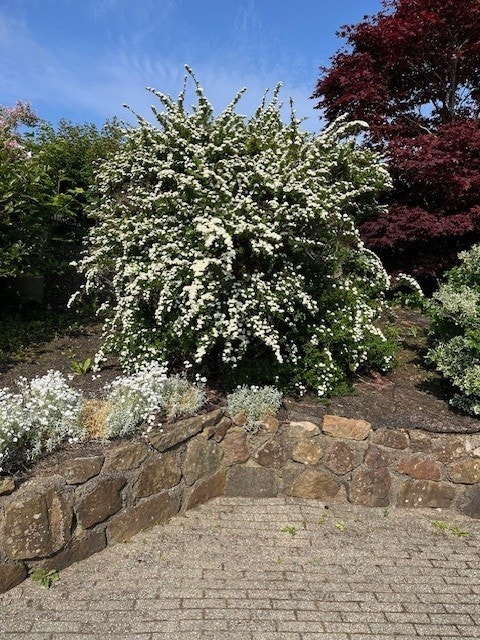 Private bilder fra selger. Galleribilde