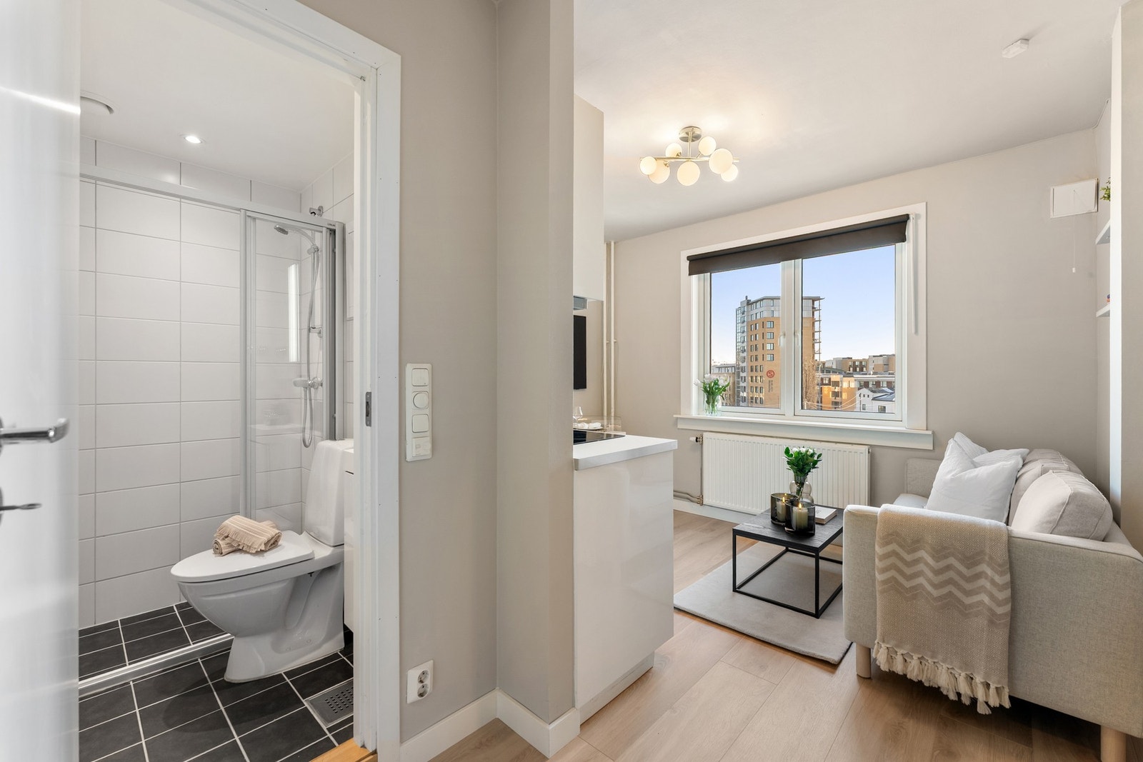 Fra entre mot bad og stue. Galleribilde