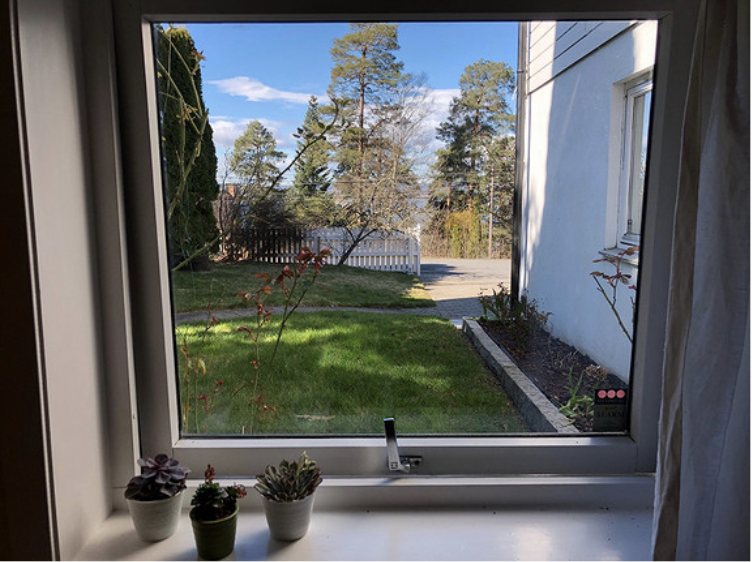 Kjøkken / Stua med utsikt hagen Galleribilde