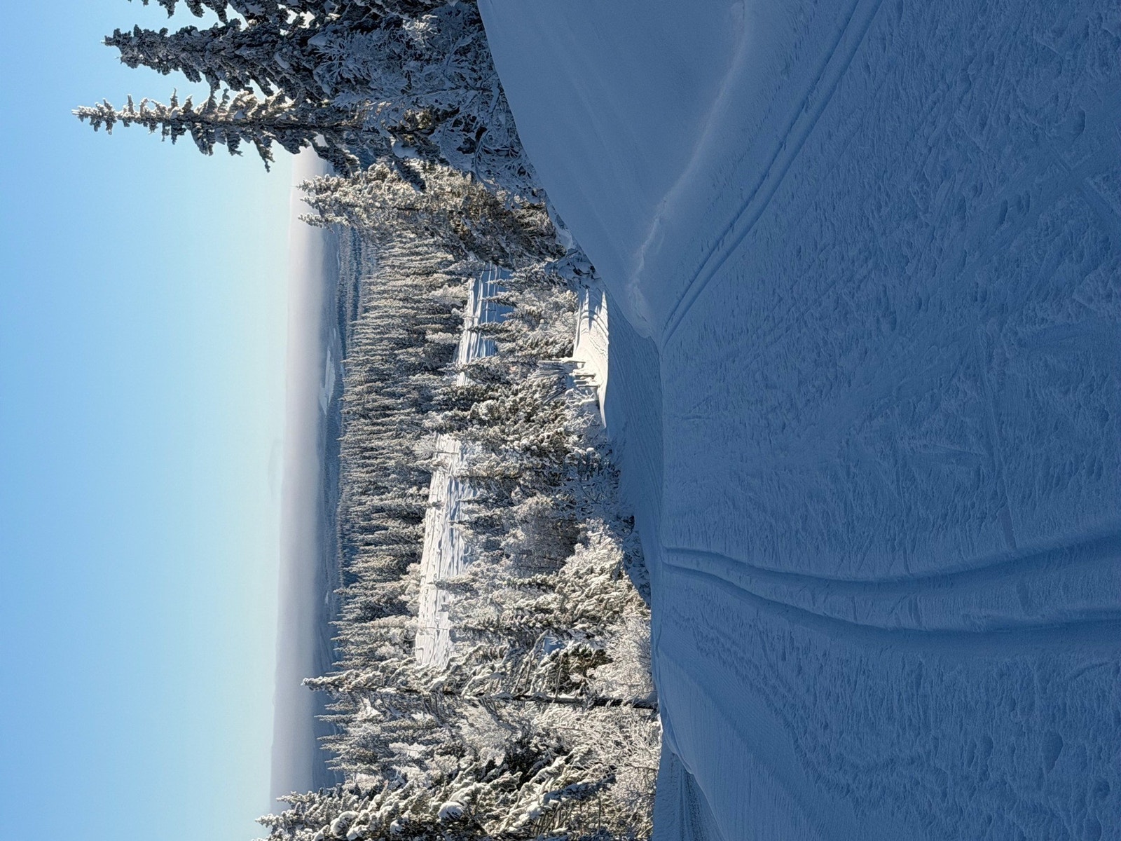 Skiløype rett i nærheten Galleribilde