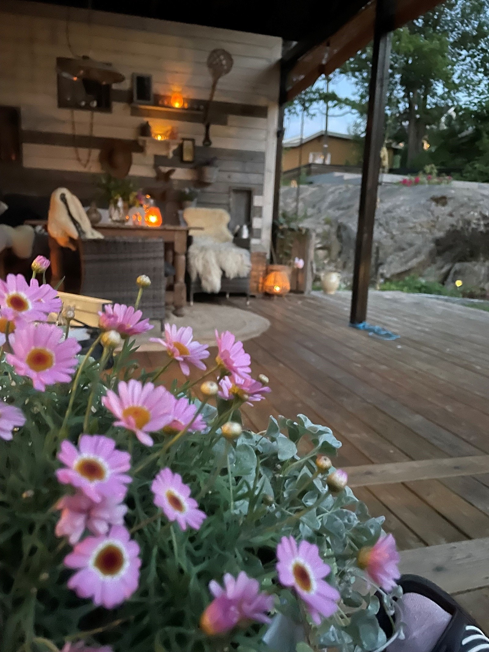 Selgers private sommerbilder Galleribilde