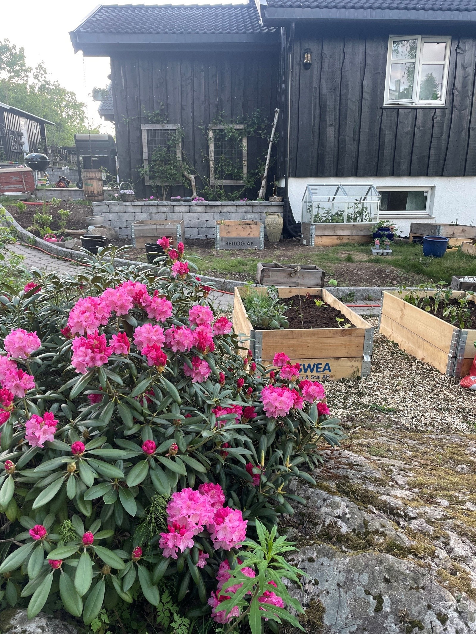 privat13 Galleribilde