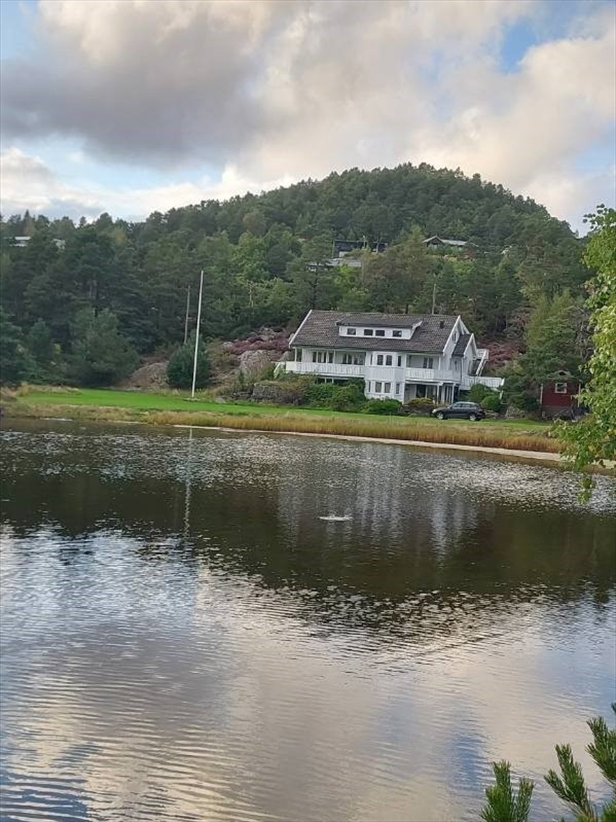 Selgers arkiv Galleribilde