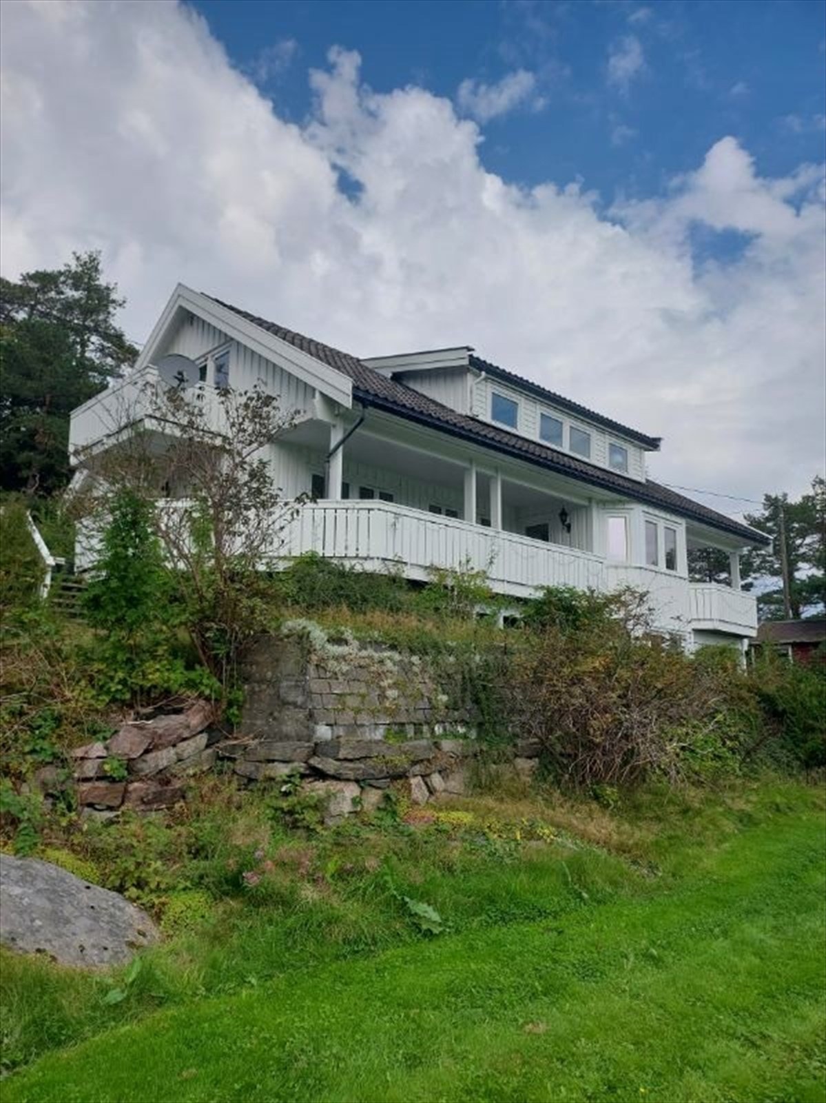 Selgers arkiv Galleribilde