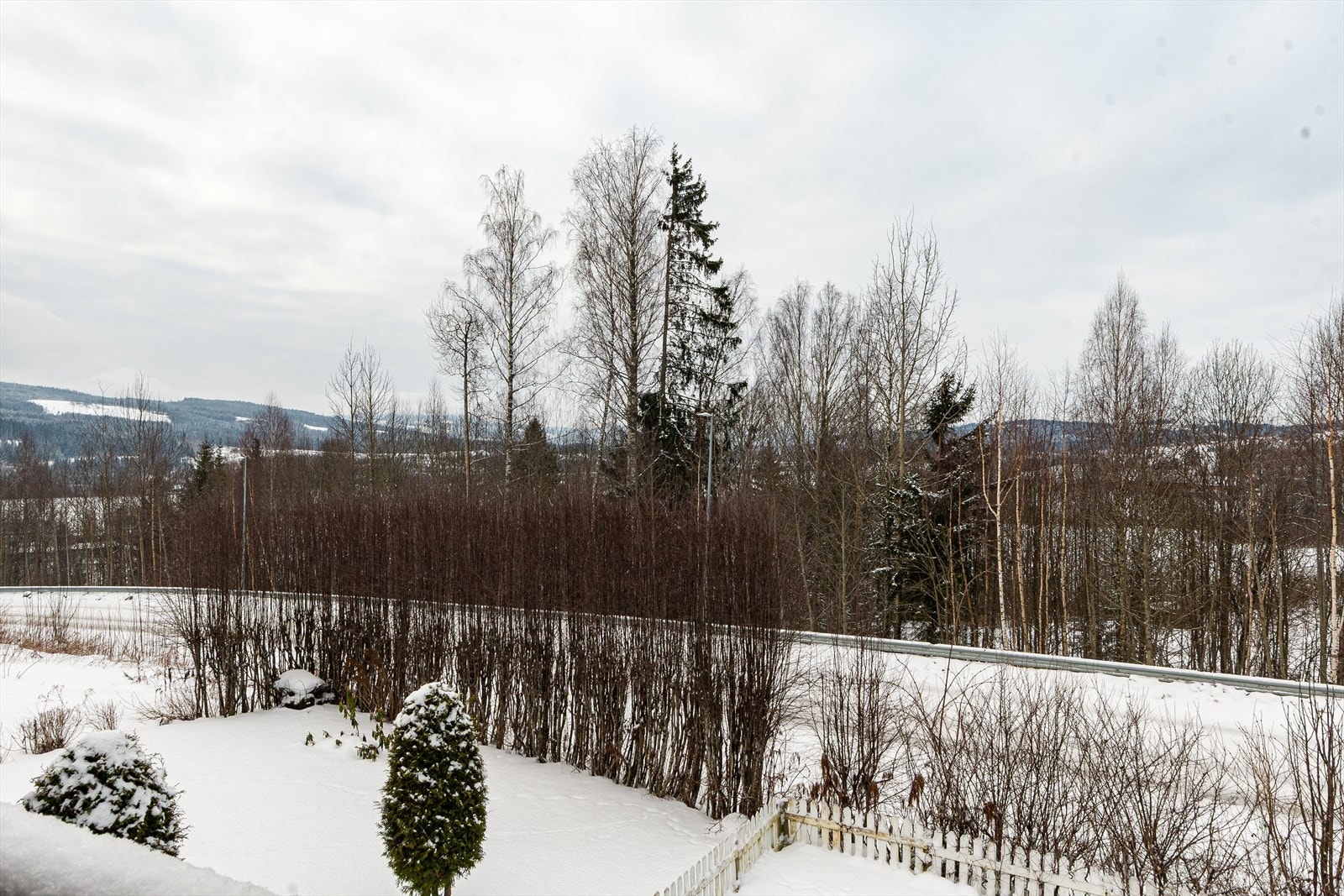 Utsikt over hagen mot sydvest. Trærne på andre siden av veien er vedtatt fjernet til fordel for utsikt. Galleribilde