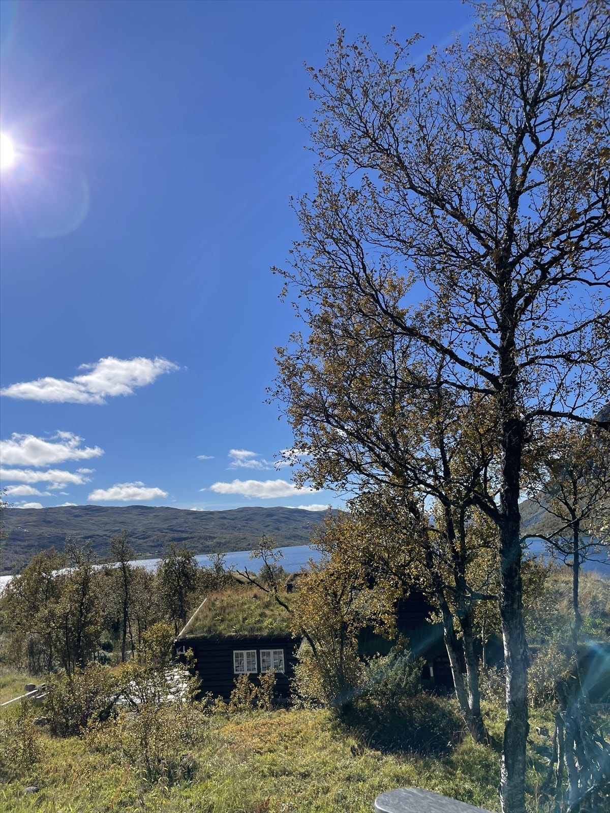 Nærmeste dagligvarehandel, Joker Tyinkrysset, er kun 7 minutter unna med bil. Galleribilde