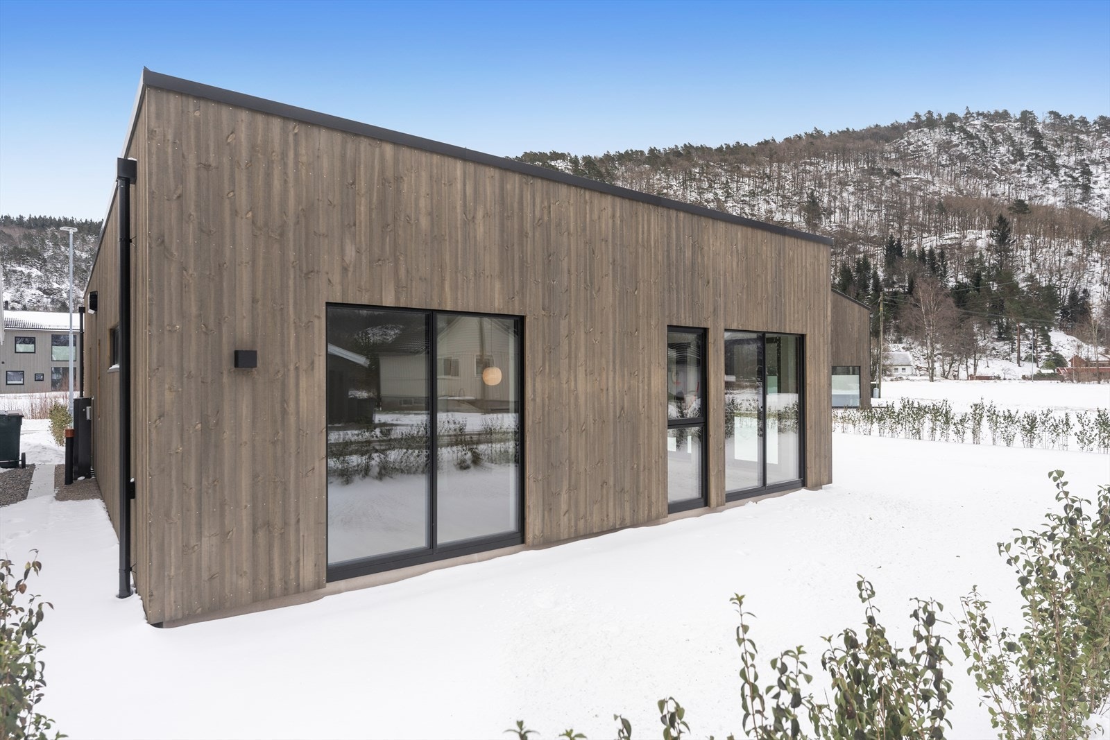 Hage med plen og hekk Galleribilde