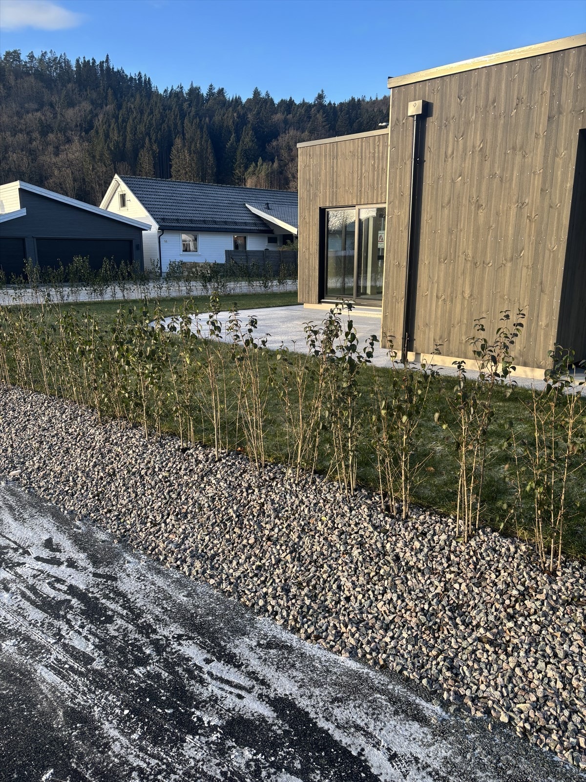 Private bilder Galleribilde