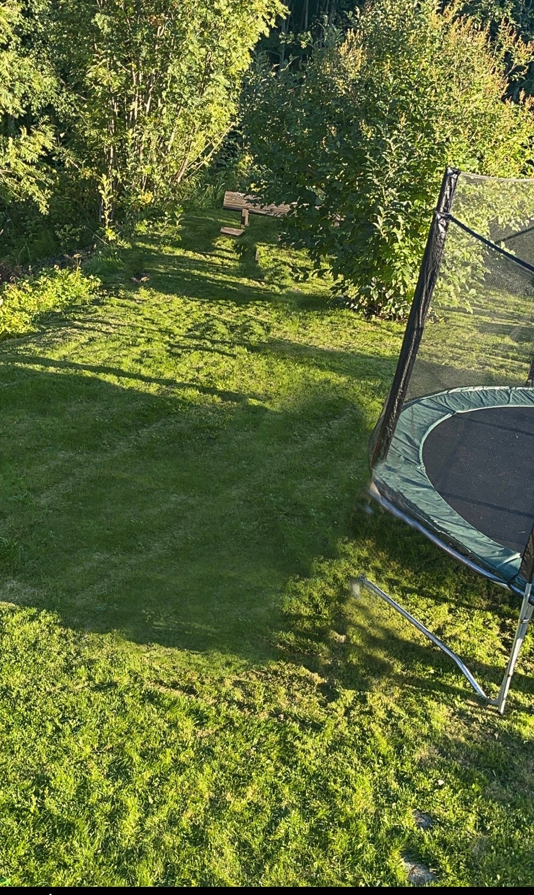 Privat foto Galleribilde