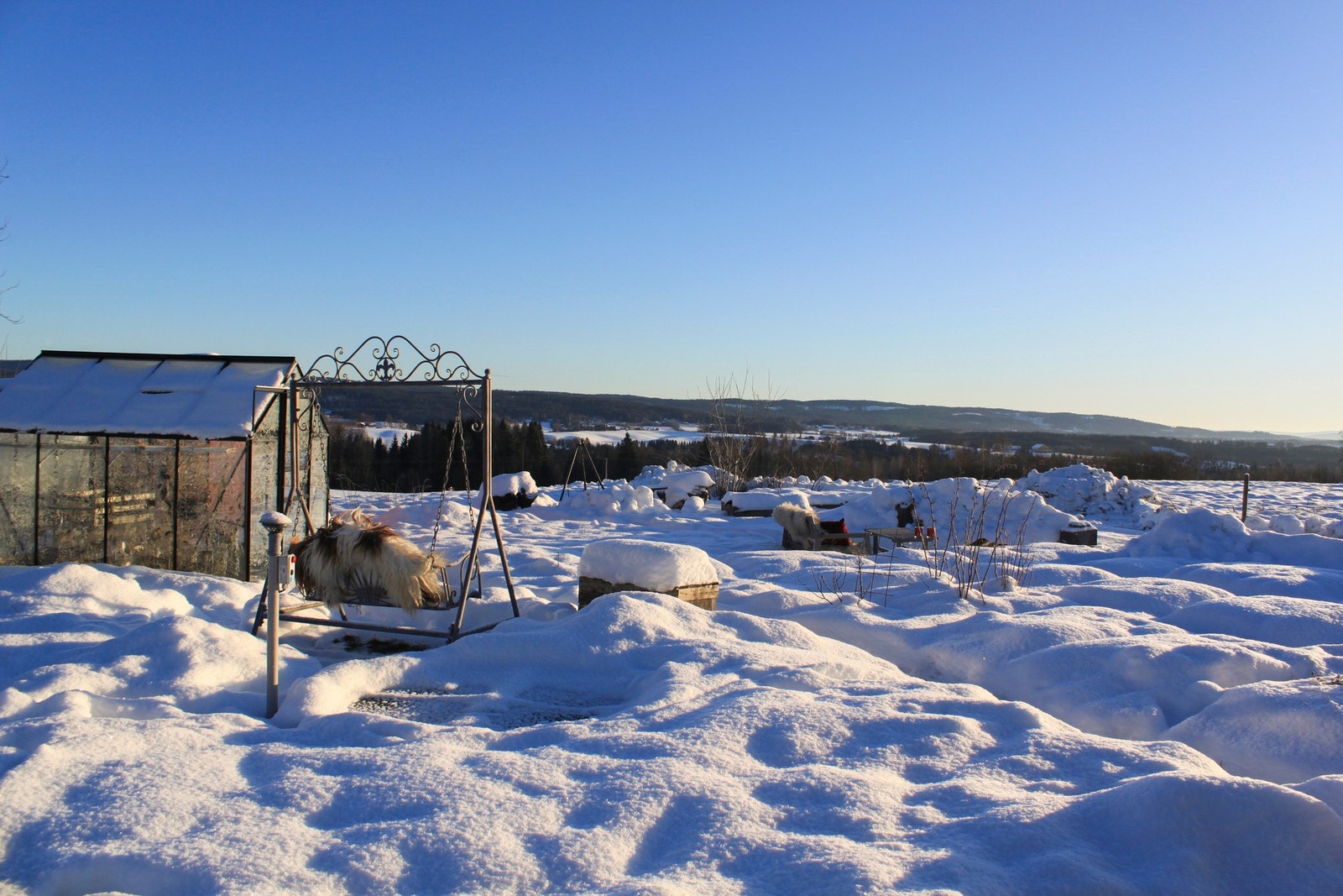 Bilde tatt av selger Galleribilde