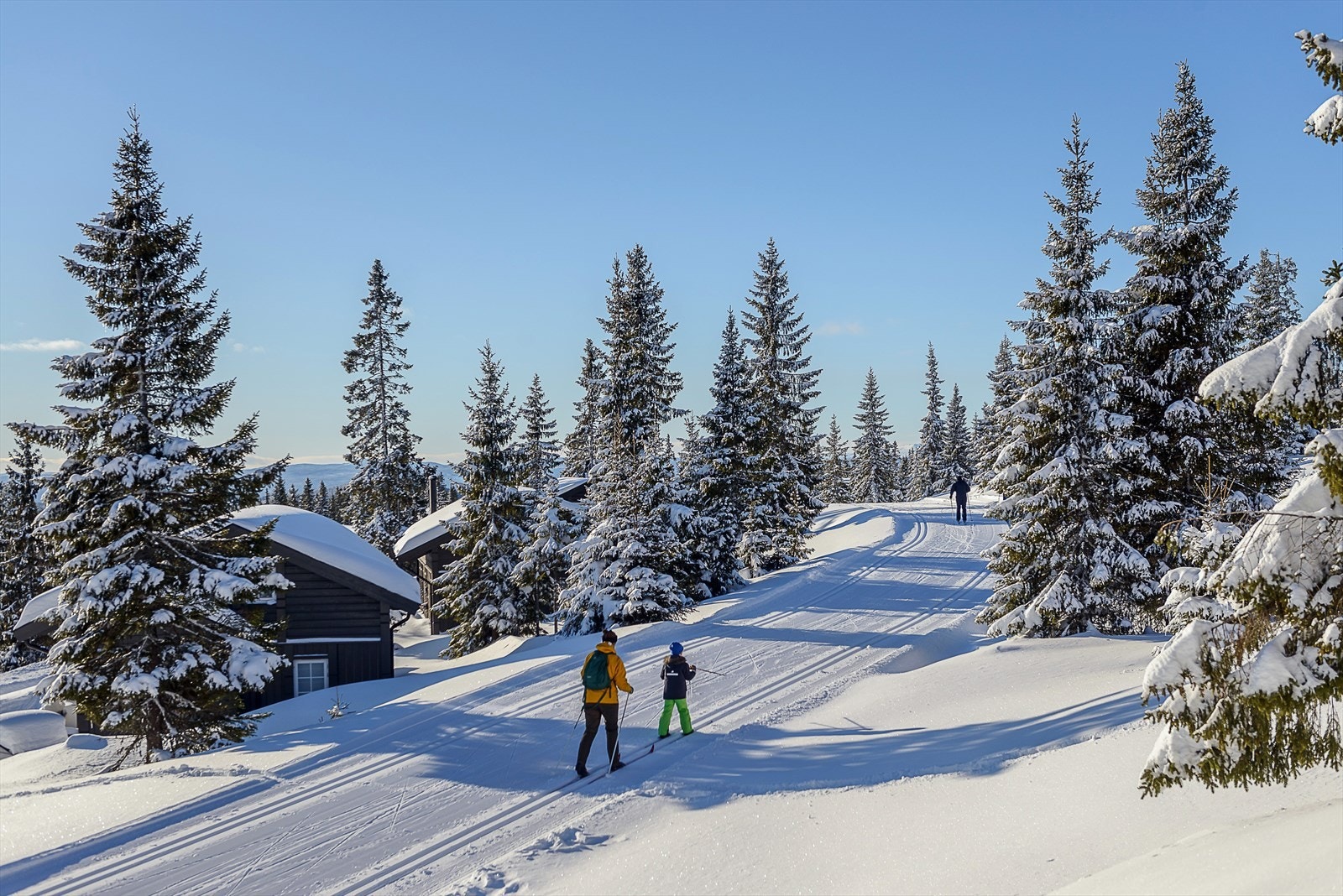 Oppkjørte skiløyper er lett tilgjengelig, rett på nedsiden av hytta. Galleribilde