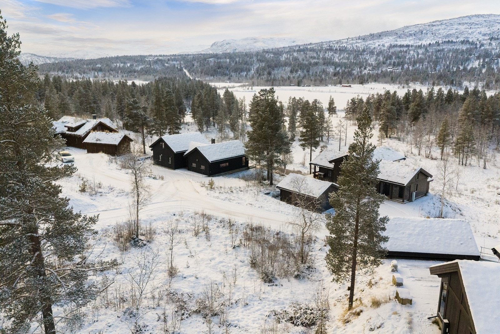 Svånuten Galleribilde