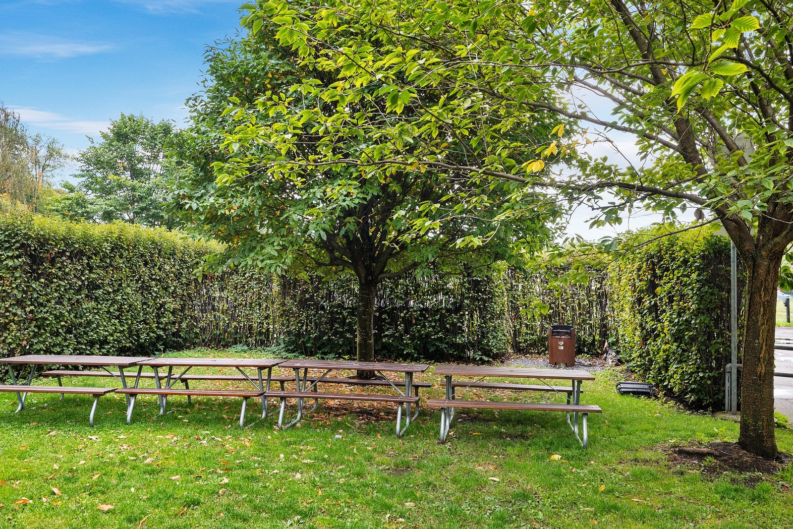 Sommerbilde fra fellesområdet. Galleribilde