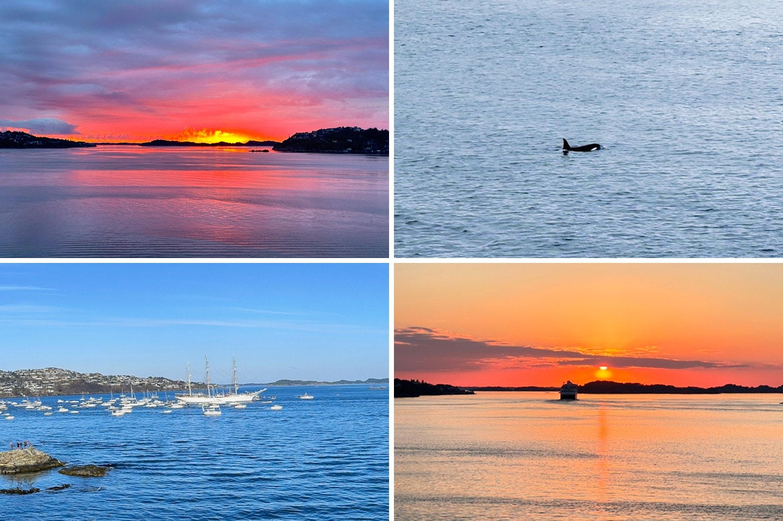 Du blir aldri lei av denne utsikten - her skjer det alltid noe spennende. Galleribilde