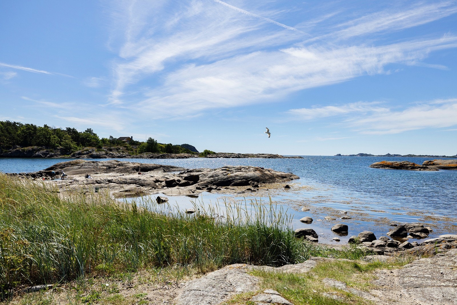 Omradebilde Galleribilde